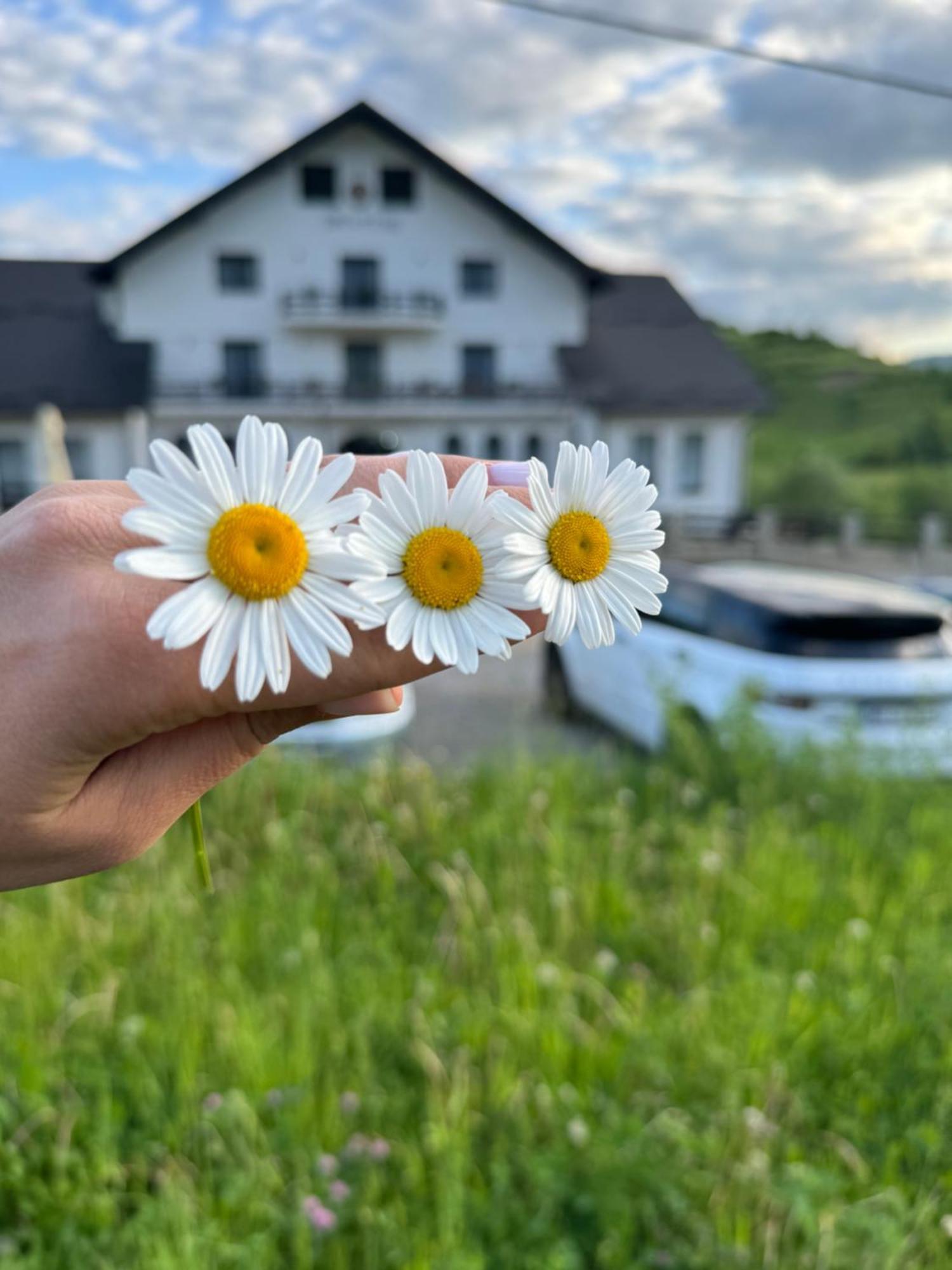 Evenimente Edelweiss Hotel Bogdan Vodă Buitenkant foto