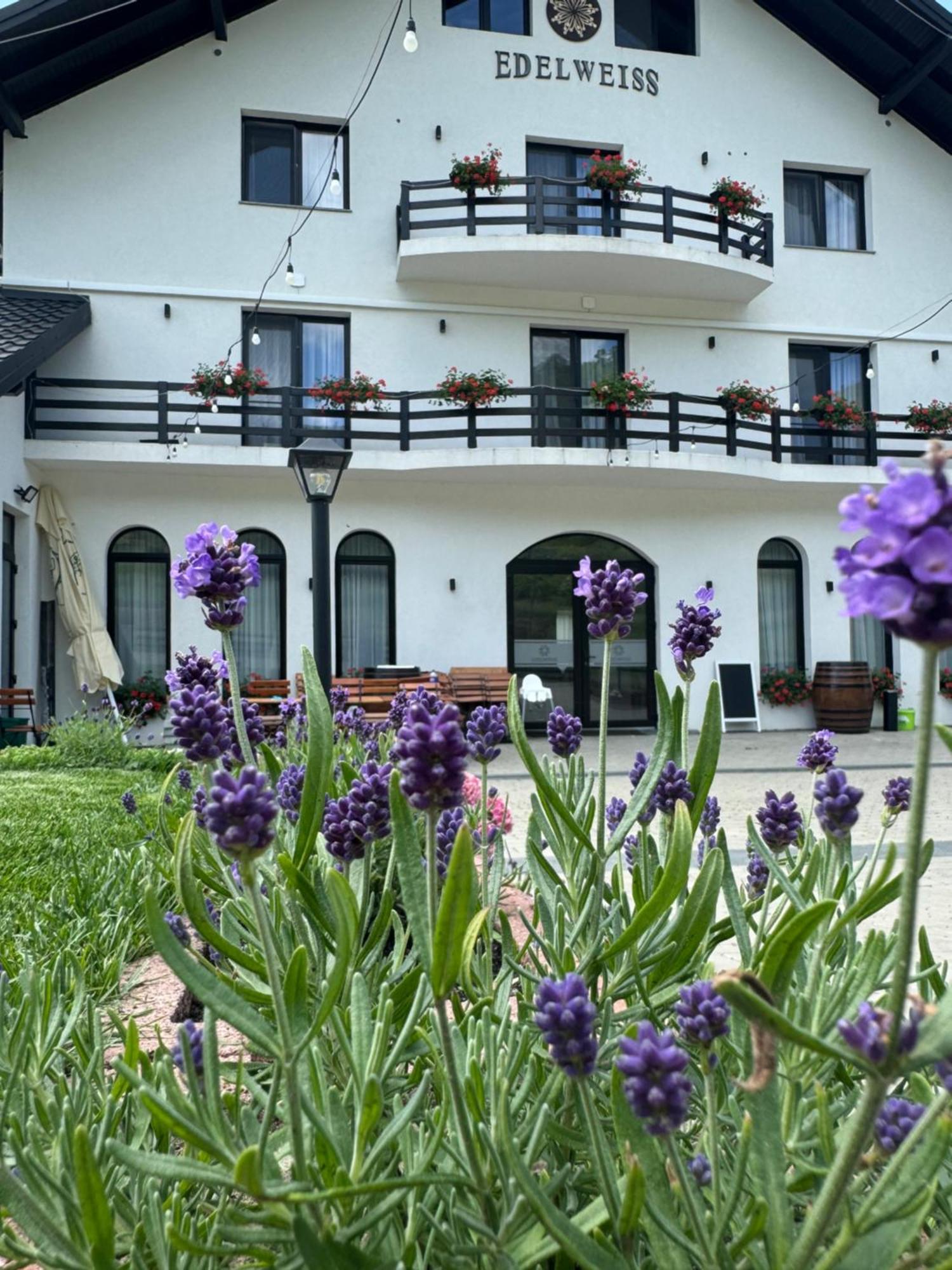 Evenimente Edelweiss Hotel Bogdan Vodă Buitenkant foto